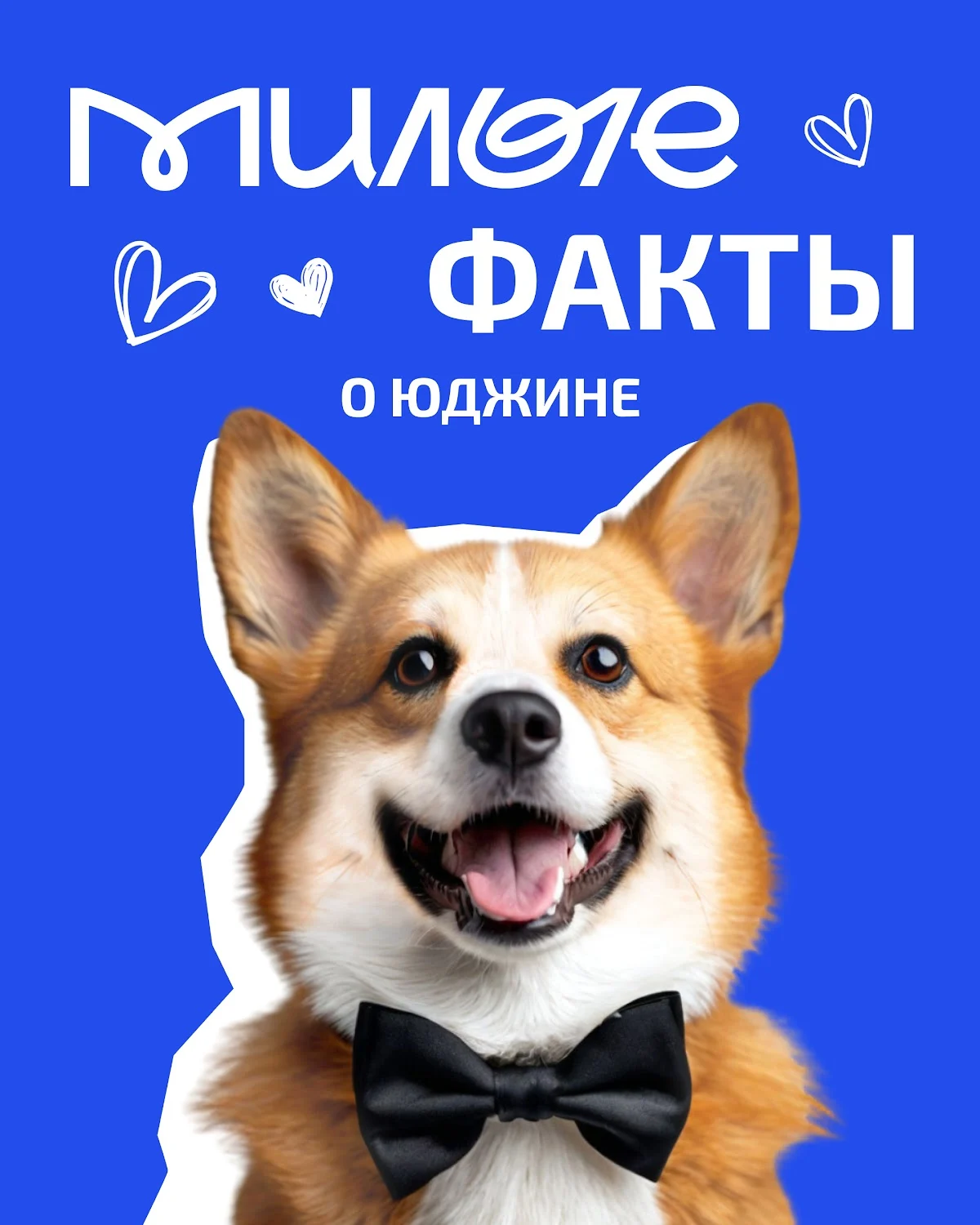 Маскот Юджин и шаблон новинок