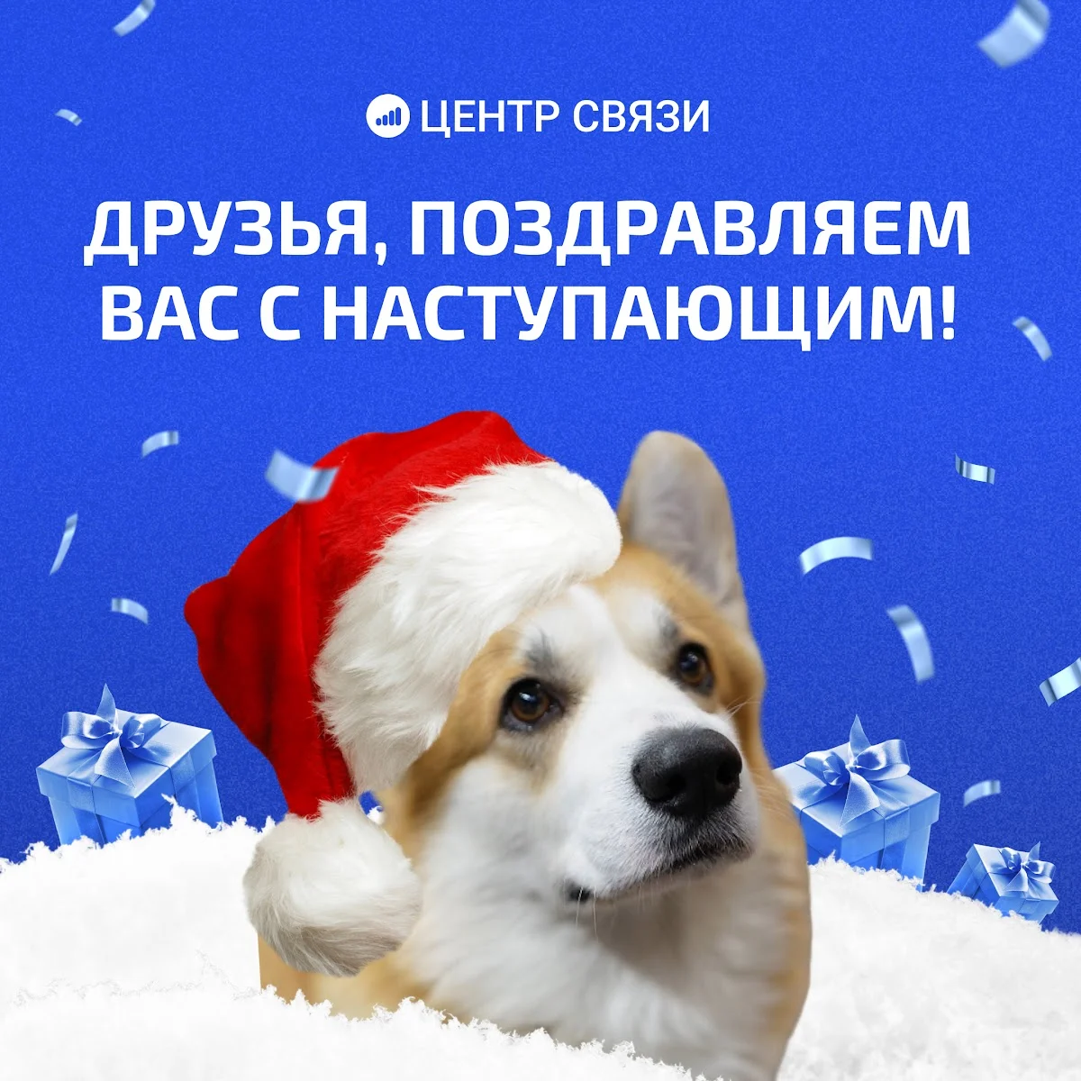 Новогоднее поздравление