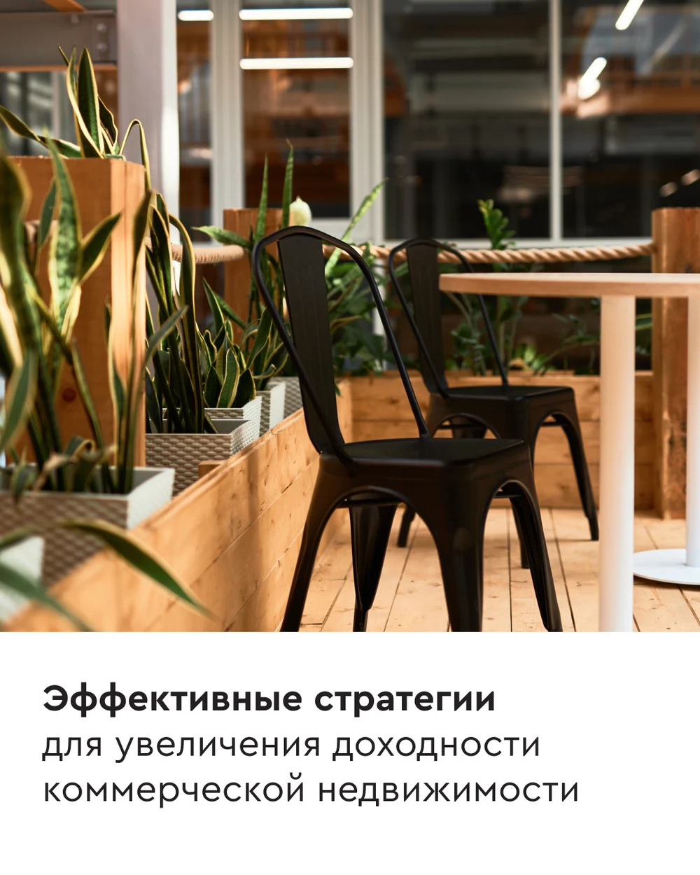 Посевы и Telegram Ads